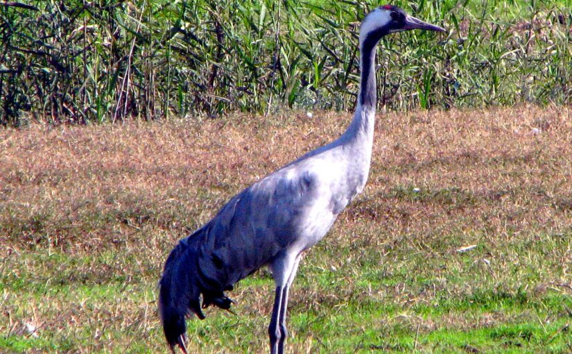 Važiuojam dviračiu – 3 atkarpa